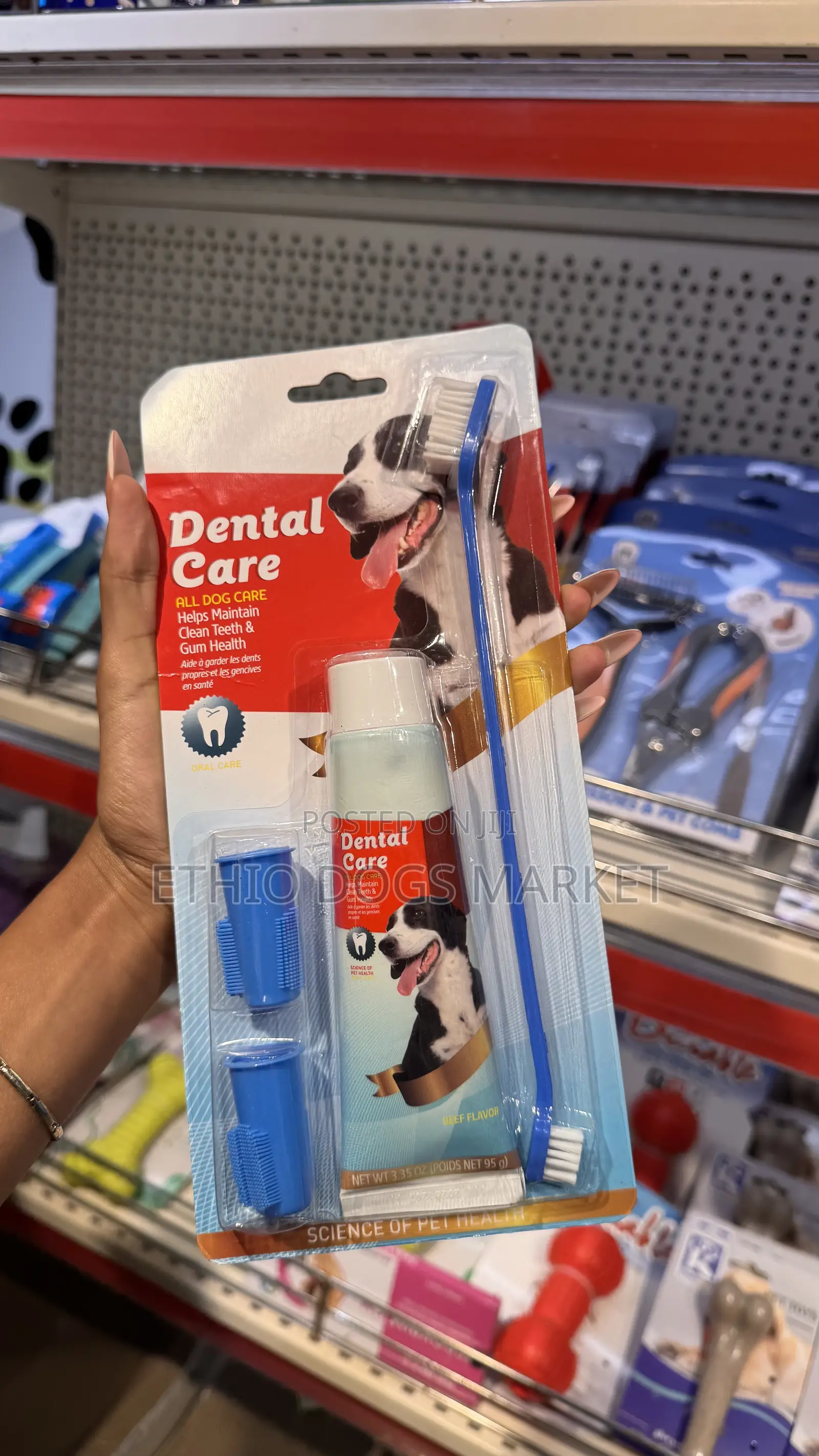 የዉሻች ጥርስ ብሩሽ