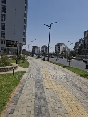 Land Sale Bole Gerji