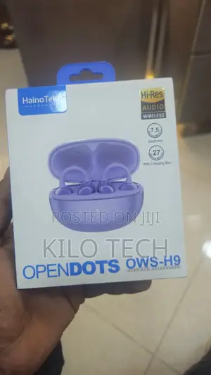 Haino Teko Germany