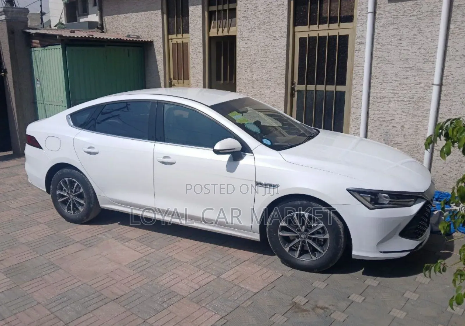 BYD Qin Plus DM-i 2024 White