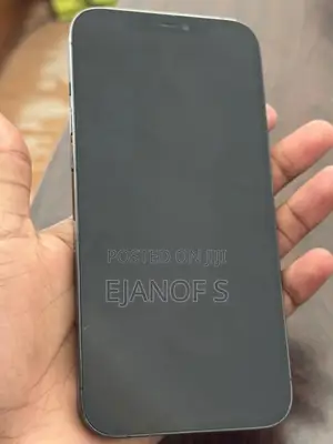 Apple iPhone 12 Pro Max 256 GB Blue