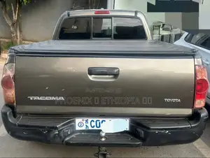 Toyota Tacoma 2008 Gray