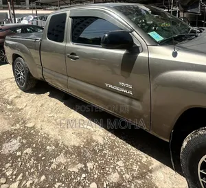 Toyota Tacoma 2008 Gray