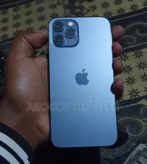 Apple iPhone 12 Pro 256 GB Gray