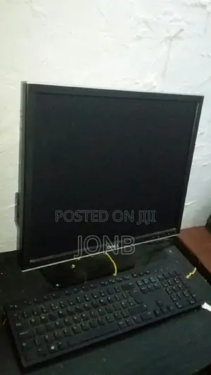 Dell 19" Inch LCD Monitor