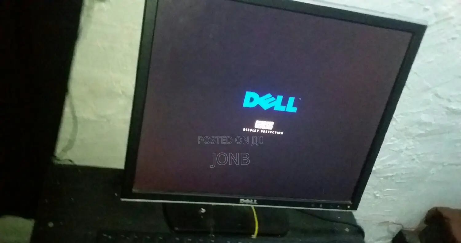 Dell 19" Inch LCD Monitor