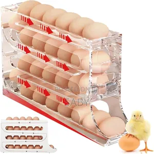 Kitchen Egg Rolling Storage Box