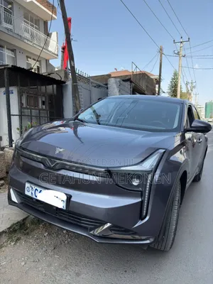 Hozon Neta U 2023 Gray