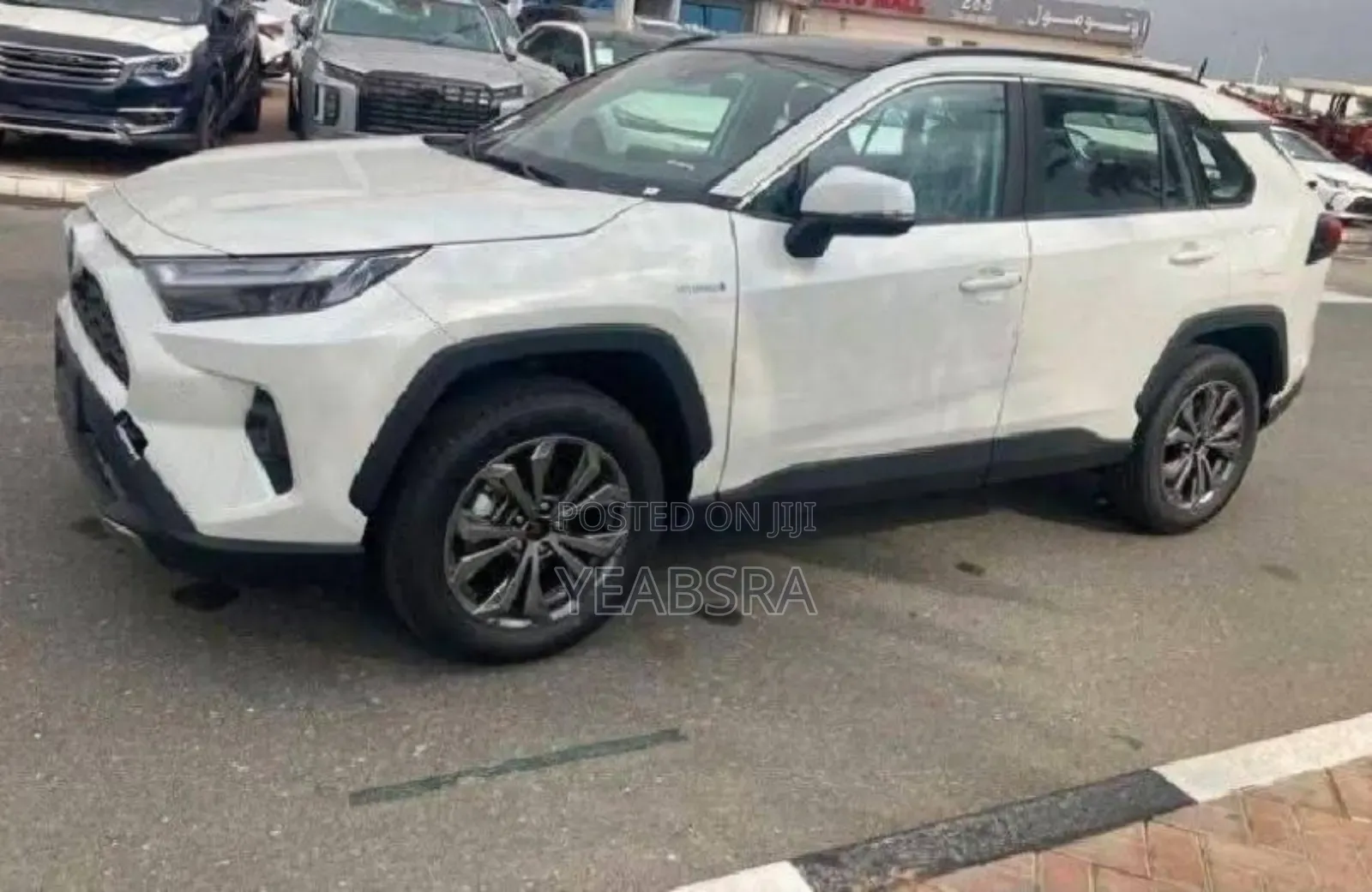 New Toyota RAV4 2024 White