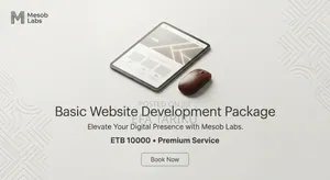 Website Development