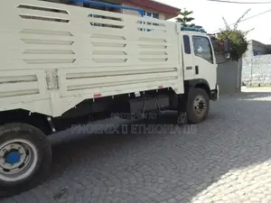Sinotruk Howo 2021 White