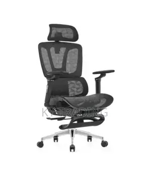 Comfortable Modern Ergonomic Chair With Leg Rest