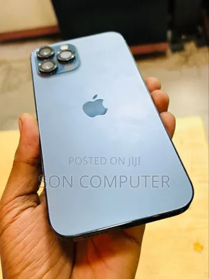 New Apple iPhone 12 Pro Max 256 GB Gray