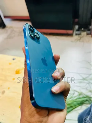 New Apple iPhone 12 Pro Max 256 GB Gray