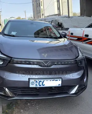 Hozon Neta U 2023 Gray