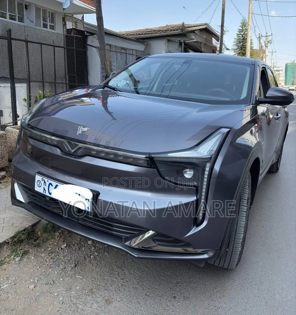 Hozon Neta U 2023 Gray