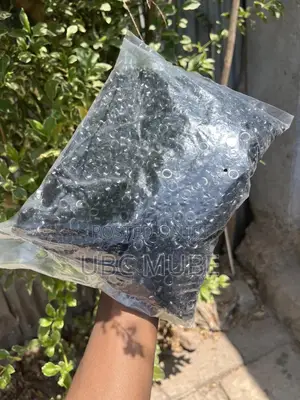 የ Paperbag ገመድ እና ከምሱር