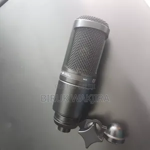 Microphone