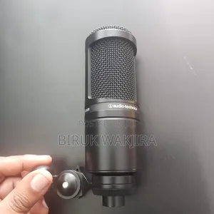Microphone