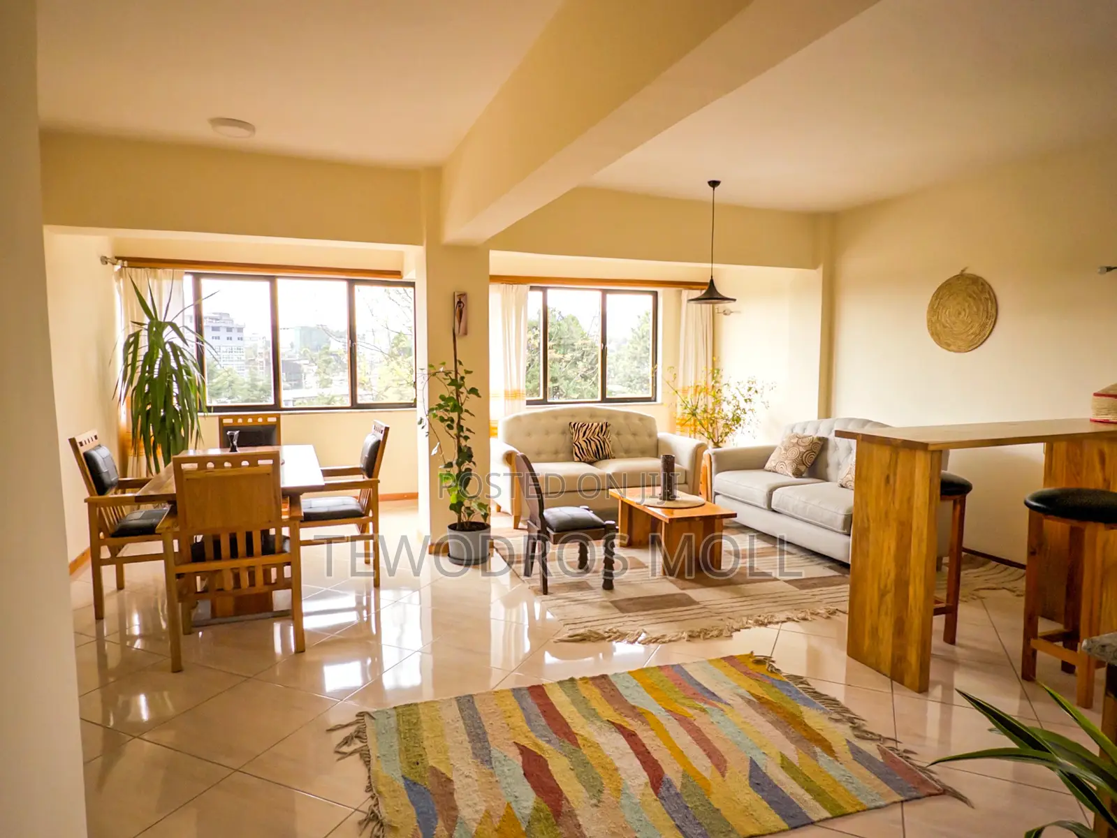 Elegant Fully Furnished Apartment Units in Central Addis