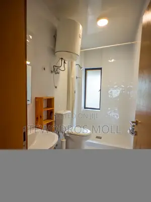 Elegant Fully Furnished Apartment Units in Central Addis