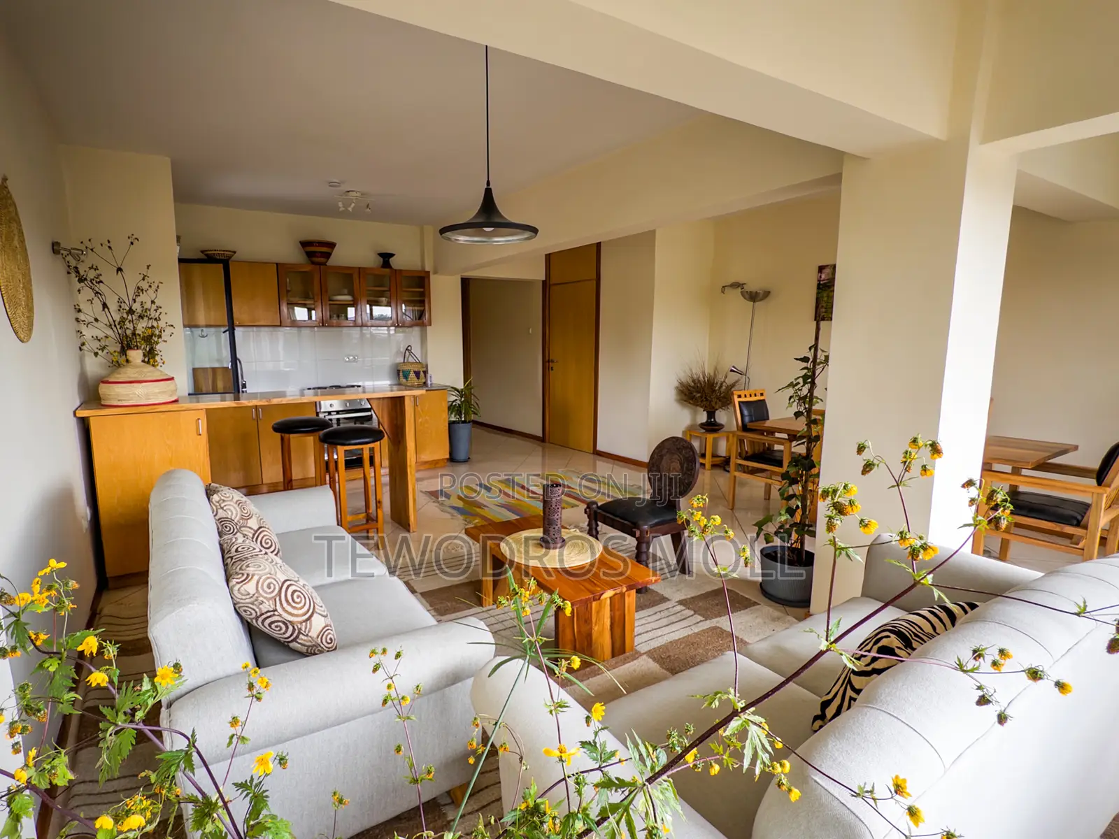 Elegant Fully Furnished Apartment Units in Central Addis