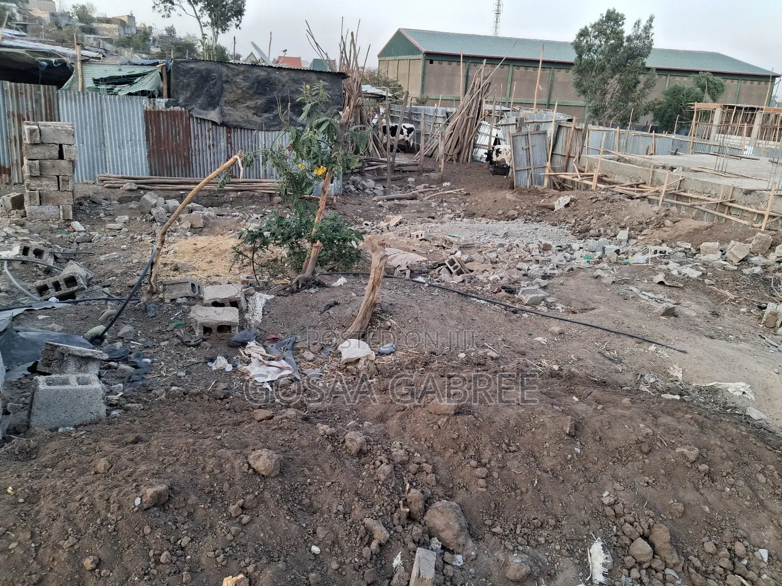 Residental Land in Adama Lugo Kebele