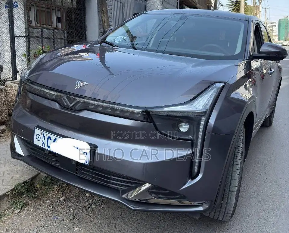 Hozon Neta U 2022 Black