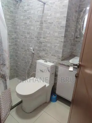 Furnished 1bdrm Apartment in Studio Fernished, Bole for rent