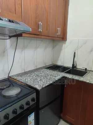 Furnished 1bdrm Apartment in Studio Fernished, Bole for rent