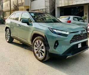 Toyota RAV4 LE 2022 Gray