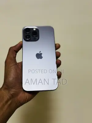 Apple iPhone 13 Pro Max 256 GB Black