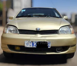 Toyota Platz 2001 Gold