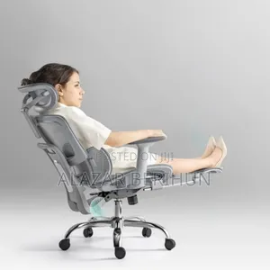 Modern Ergonomic Chair _ More Relaxed as Shown the Picture