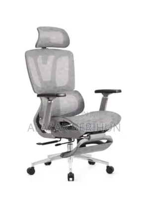 Modern Ergonomic Chair _ More Relaxed as Shown the Picture