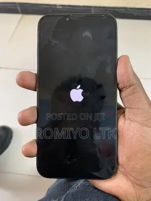 Apple iPhone 13 Pro Max 256 GB Gray