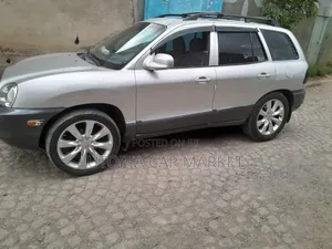 Hyundai Santa Fe 2005 Silver