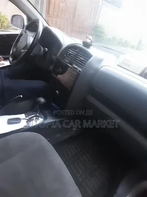 Hyundai Santa Fe 2005 Silver