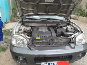 Hyundai Santa Fe 2005 Silver