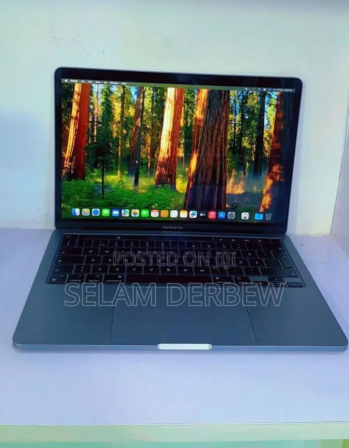 New Laptop Apple MacBook Pro M1 8GB Apple M1 Pro SSD 256GB