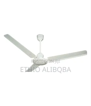 Ceiling Fan