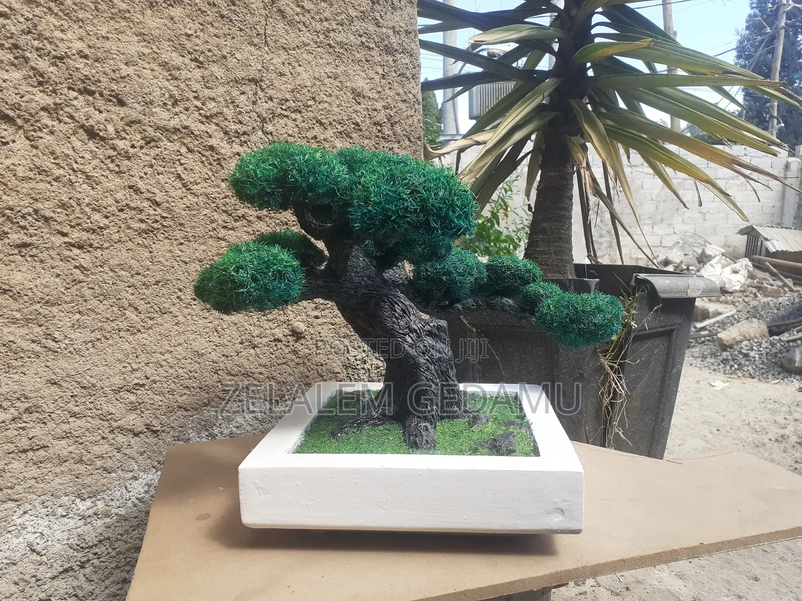 Artificial Bonsai Tree (ሰው-ሰራሽ ዛፍ)