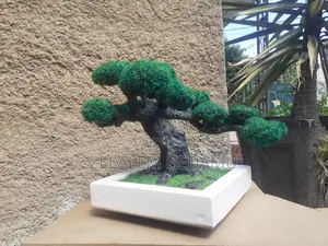 Artificial Bonsai Tree (ሰው-ሰራሽ ዛፍ)