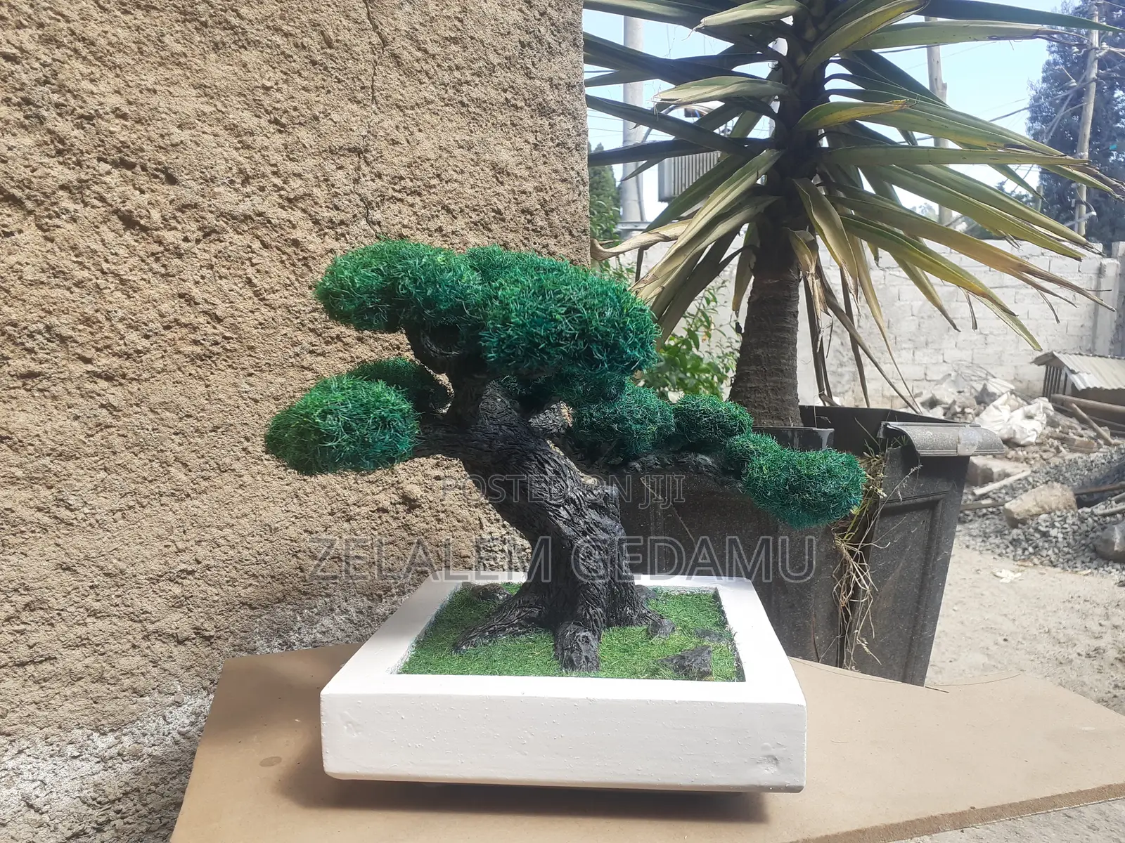Artificial Bonsai Tree (ሰው-ሰራሽ ዛፍ)