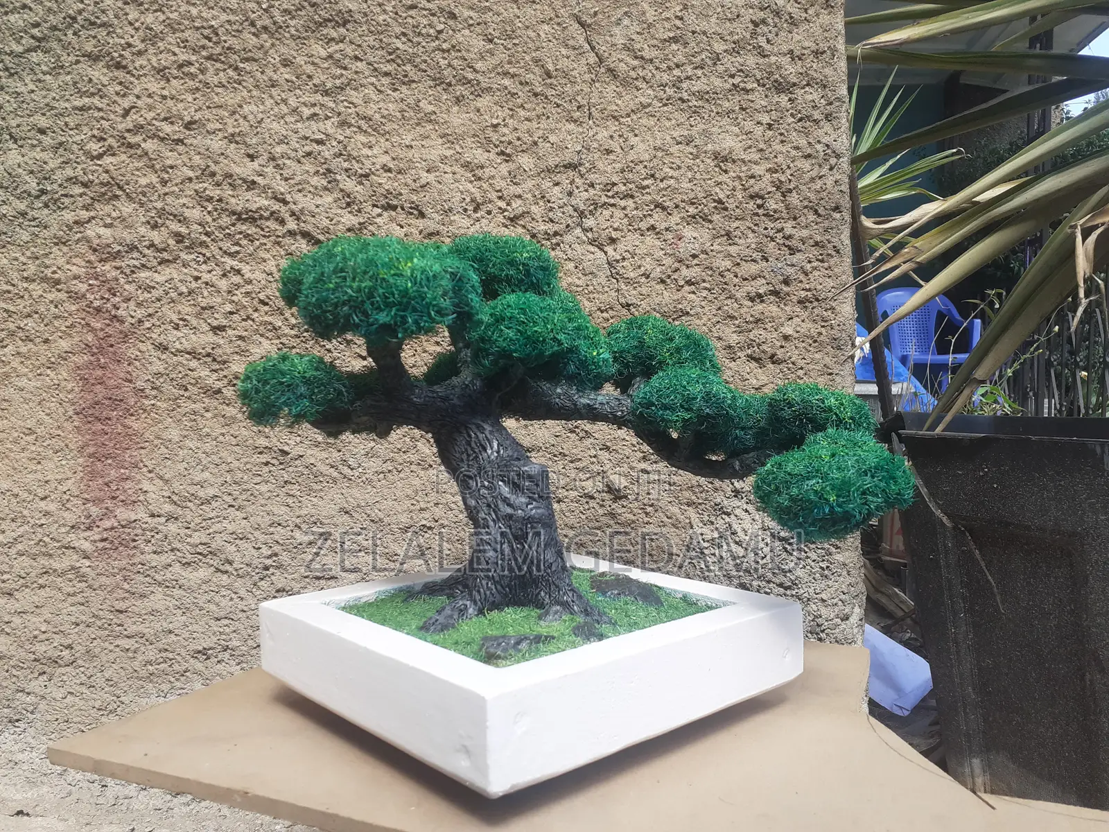 Artificial Bonsai Tree (ሰው-ሰራሽ ዛፍ)