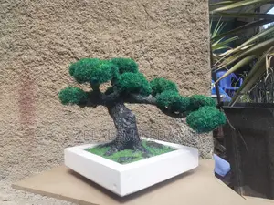 Artificial Bonsai Tree (ሰው-ሰራሽ ዛፍ)