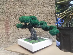 Artificial Bonsai Tree (ሰው-ሰራሽ ዛፍ)