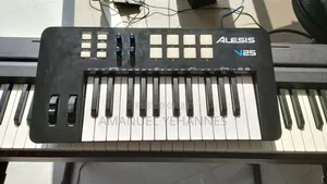 Alesis V25 Midi Keyboard Piano