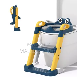 Potty Training Seat With Ladder