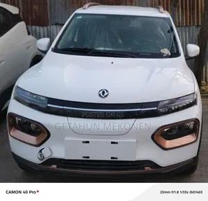 New Dongfeng EV EX1 2025 White